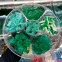 Candyplatte Türkis Mix – Fruchtige Gummibonbons in Türkis | Halalicious